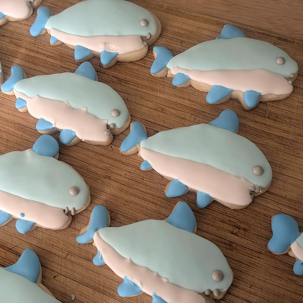 Shark cookies